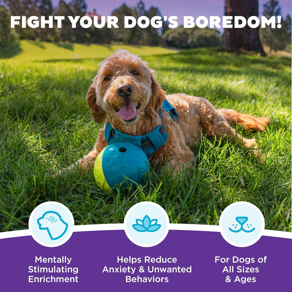 Outward Hound Nina Ottosson Treat Tumble Dog Toy Puzzle Ball, 4.8" | Level 1 Easy, Food-Dispensing Ball, Holds 1 Cup Kibble or Treats, No BPA, Interactive Enrichment, Dogs & Puppies