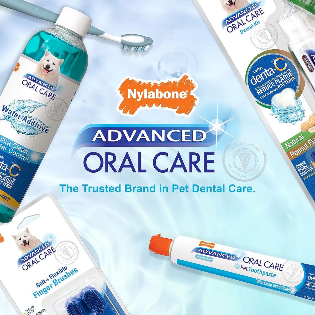Nylabone Advanced Oral Care Puppy Dental Kit Puppy Original 3 Count 
