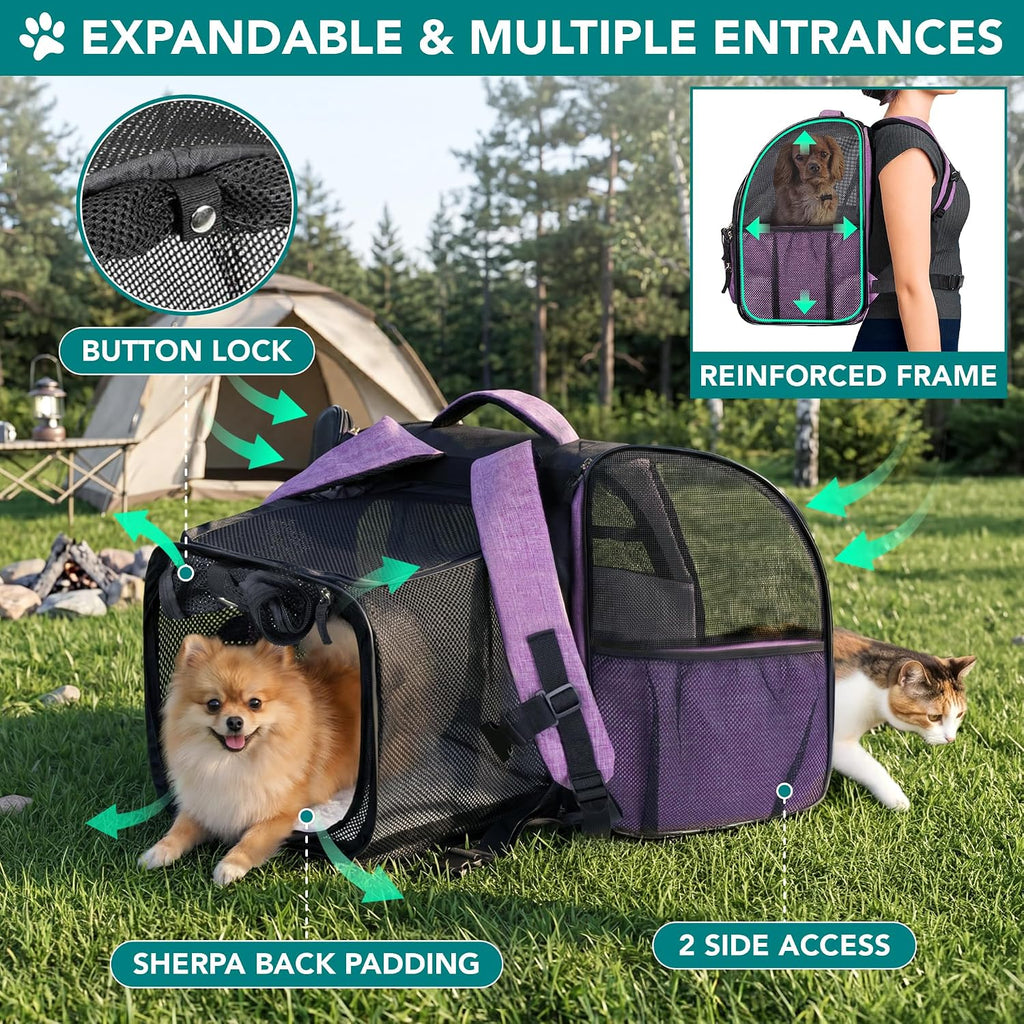 PetAmi Expandable Dog Cat Backpack Carrier, Airline Approved, Purple