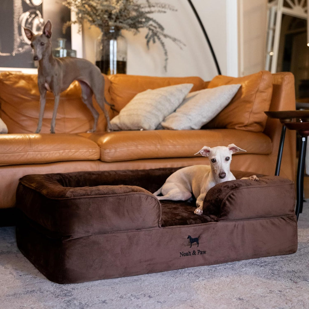 NOAH & PAW Dog Bed, Orthopedic Memory Cooling Foam (2X Base) 35x25x11in