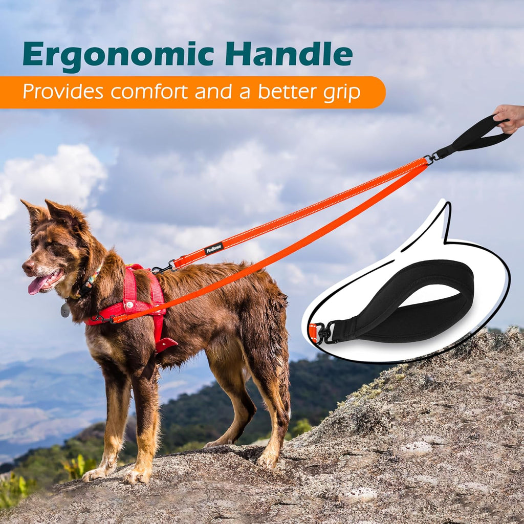 PetBonus Two Point Control Dog Leash, No Tangle Training Walking Leashes