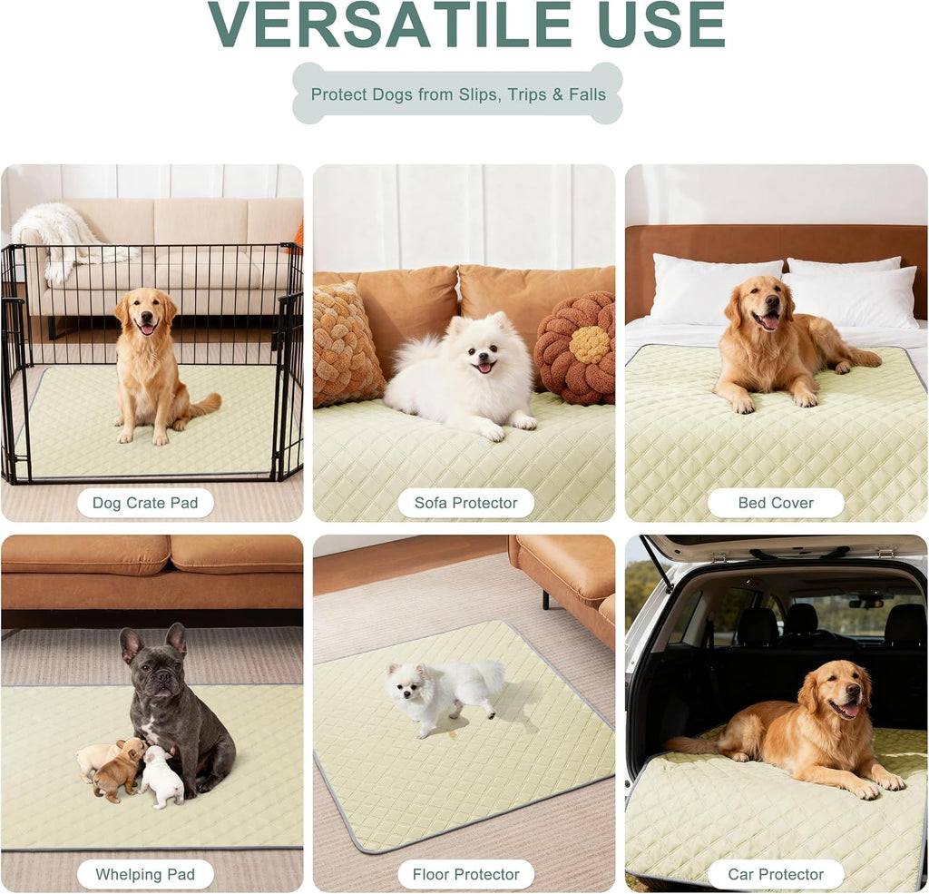 Eterish Washable Pee Pads for Dogs Extra Large 48'' x 60'' 2 Pack | Reusable Absorbent Pet Puppy Dog Training Pads Non-Slip, Waterproof Whelping Potty Pads for Dogs Leak-Proof