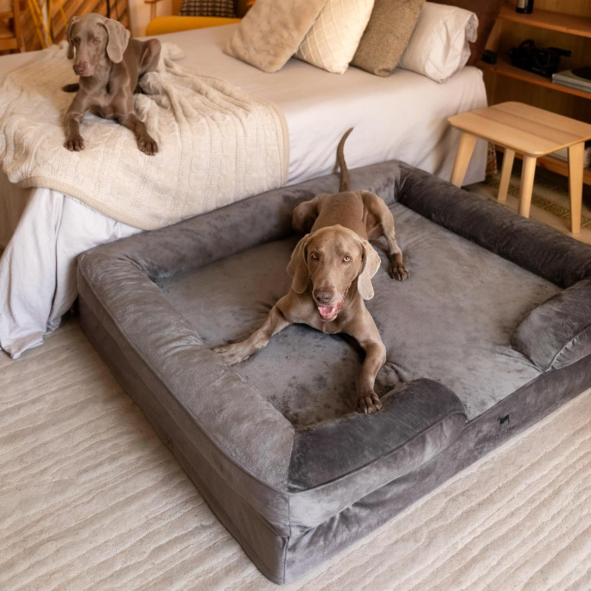 NOAH & PAW XXL Dog Bed, Orthopedic Memory Cooling Foam (2X Base) 55x45x11in