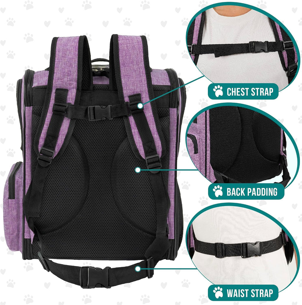 PetAmi Dog Backpack Carrier, 4-Way Entry Ventilated, 18 lbs, Purple