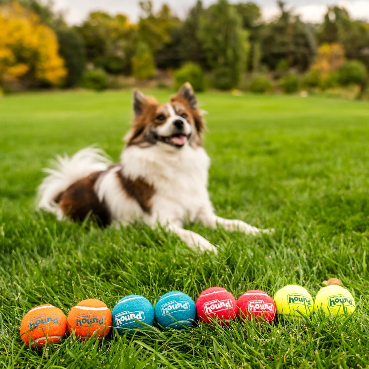 Outward Hound Squeaker Ballz Tennis Ball Dog Toy, Small, 2", 8‑Pack