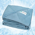 PetAmi Cooling Dog Blanket Lightweight Soft for Large Pet Cat, 40x60, Blue