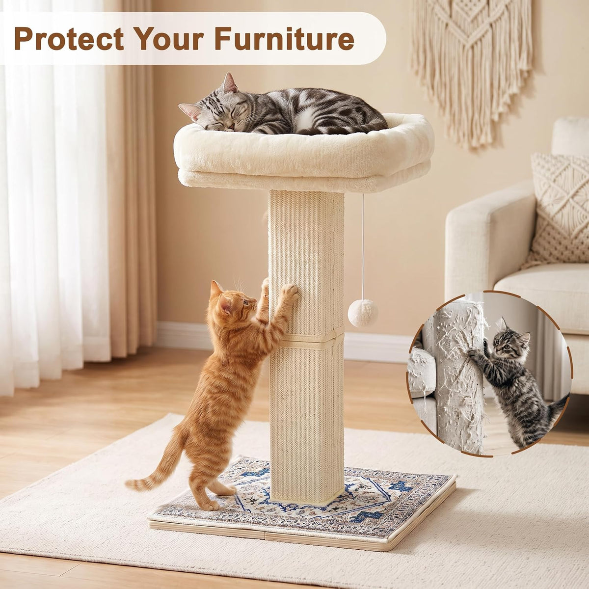 Cat Scratching Post with Bed for Indoor Adult Cats, Cat Perch,White