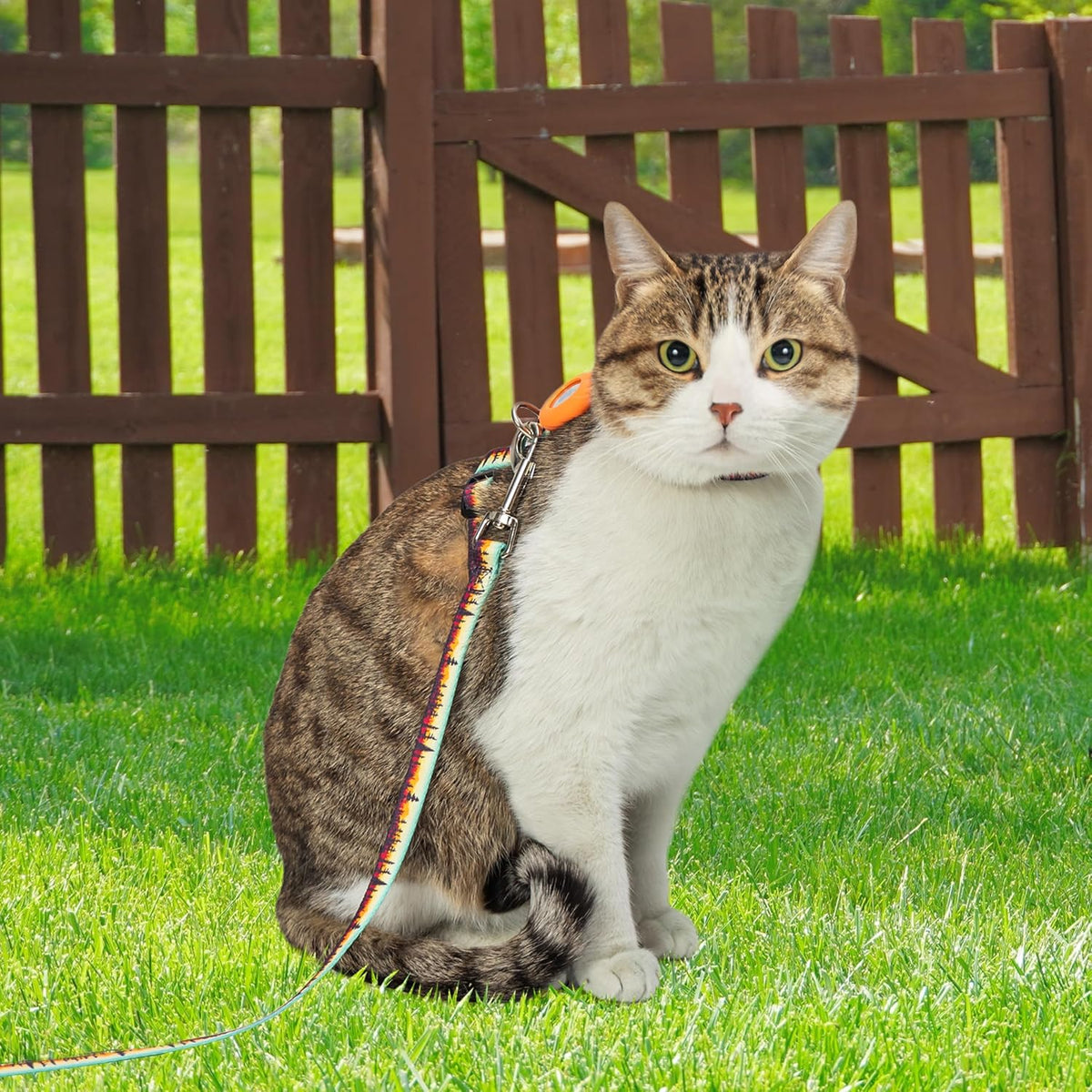 Escape Proof Cat Harness with Airtag Holder and Leash Set Outfits