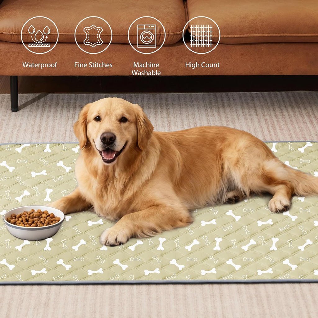 Eterish Washable Pee Pads for Dogs Extra Large 36'' x 48'' 2 Pack | Reusable Absorbent Pet Puppy Dog Training Pads Non-Slip, Waterproof Whelping Potty Pads for Dogs Leak-Proof