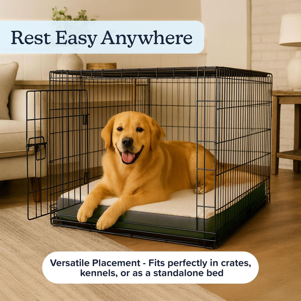 Orthopedic Dog Bed - 2-Layer 36x27-Inch Memory Foam Pet Mattress with Machine-Washable Sherpa Cover for Large Dogs up to 65lbs by PETMAKER (Gray)