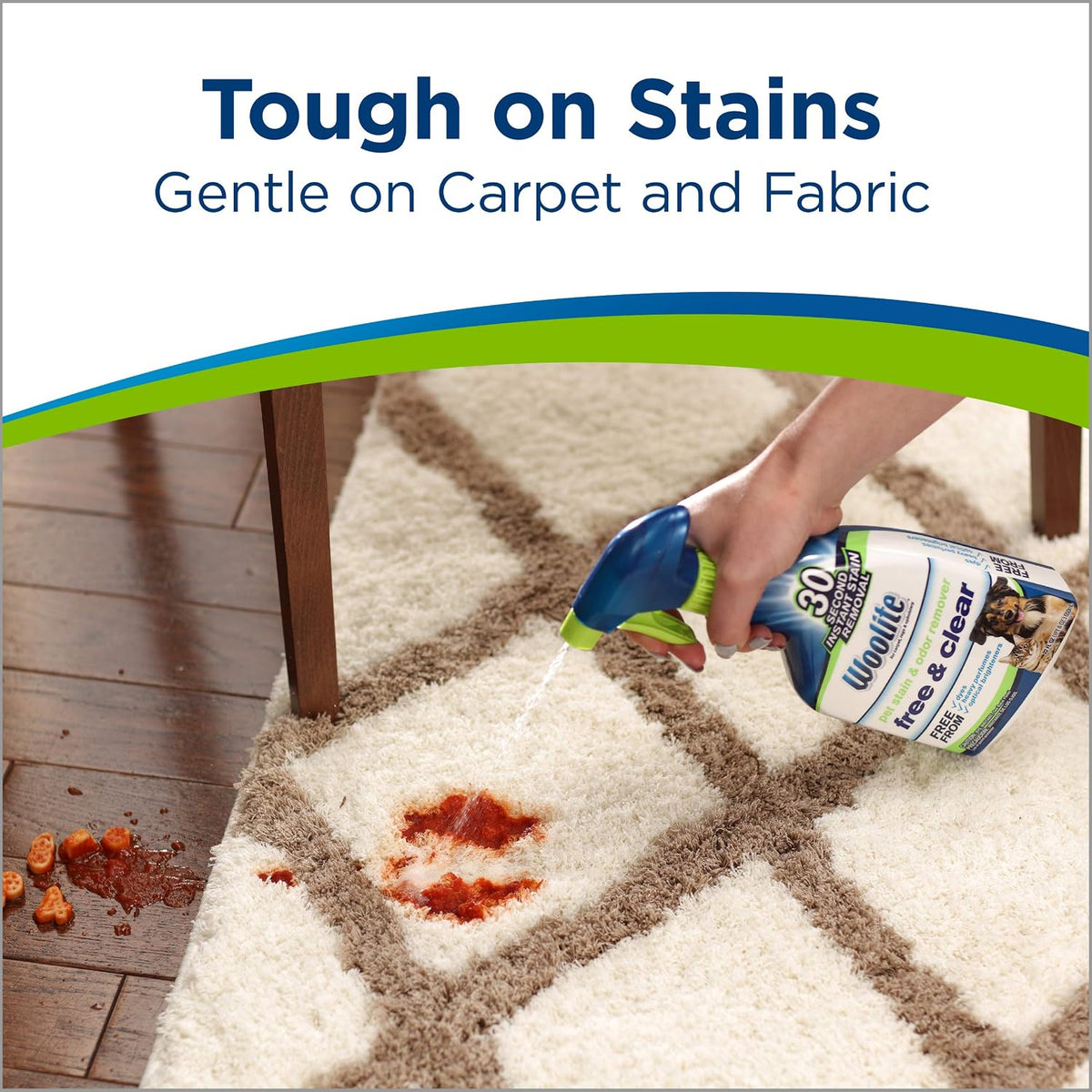 Bissell Woolite Free & Clear, Pet Stain & Odor Remover, 22oz (Pack of 2), 2719