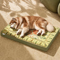 Exsnugy Orthopedic Washable Dog Bed Boho Crate Pet Pad for Large Dog 47in
