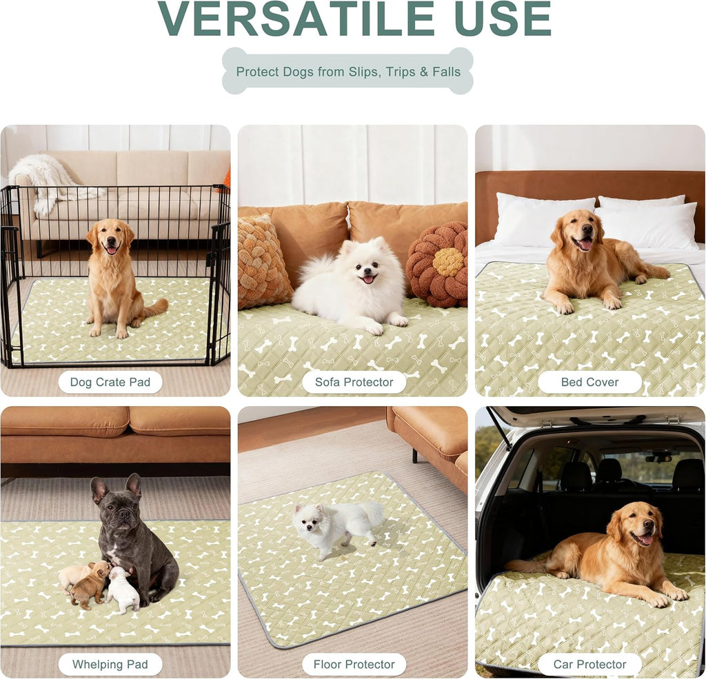 Eterish Washable Pee Pads for Dogs Large/Extra Large 36'' x 41'' 2 Pack | Reusable Absorbent Pet Puppy Dog Training Pads Non-Slip, Waterproof Whelping Potty Pads for Dogs Leak-Proof