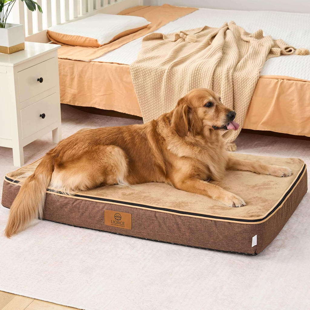 LIORCE Orthopedic Memory Foam XXL Dog Bed - 6" Thick Beds for Extra Large Sized Dog - Waterproof Removable Washable Cover & Wrap-Around Zipper - Ultimate Comfort & Easy Maintenance, Brown