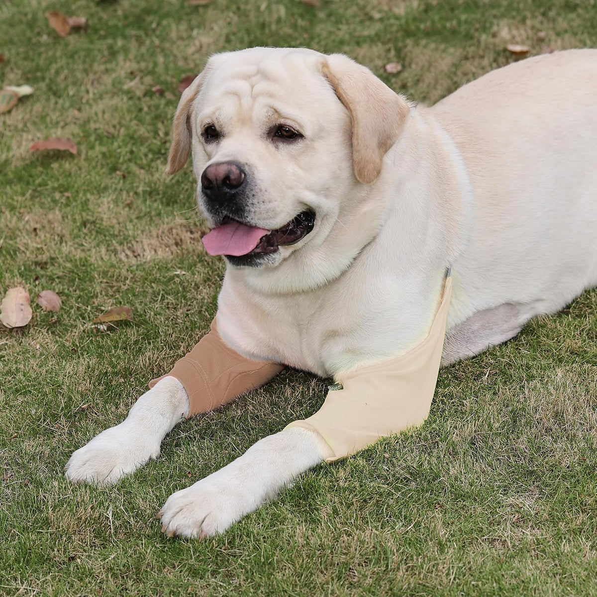 Dog Elbow Protector - Dog Sleeves for Wounds Front Legs, Keep the Elbow Wound Clean, with Inner Padding to Protect the Elbow Joint, Cone Collar Alternative to Stop Licking Wounds (Beige Brown,L)