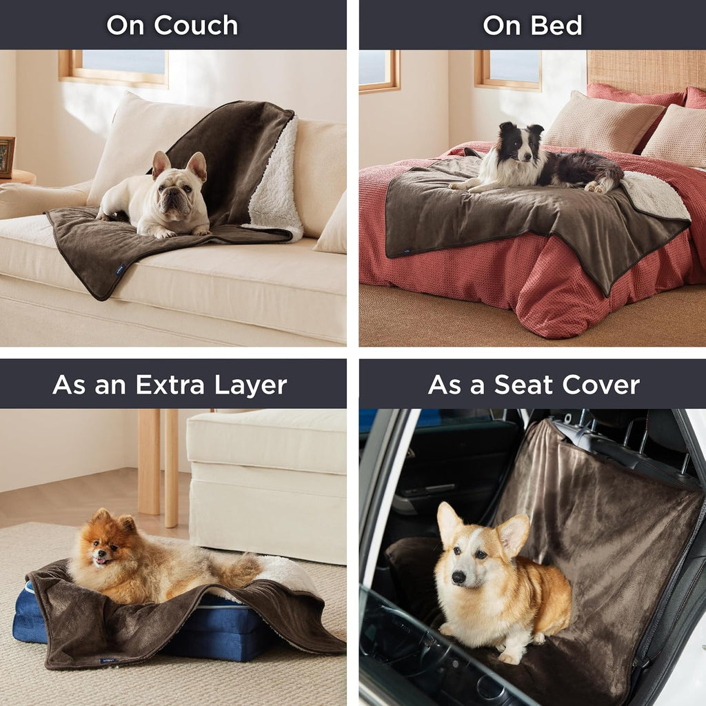 Bedsure Waterproof Dog Blankets for Large Dogs Sherpa Fleece Throw, 40X50