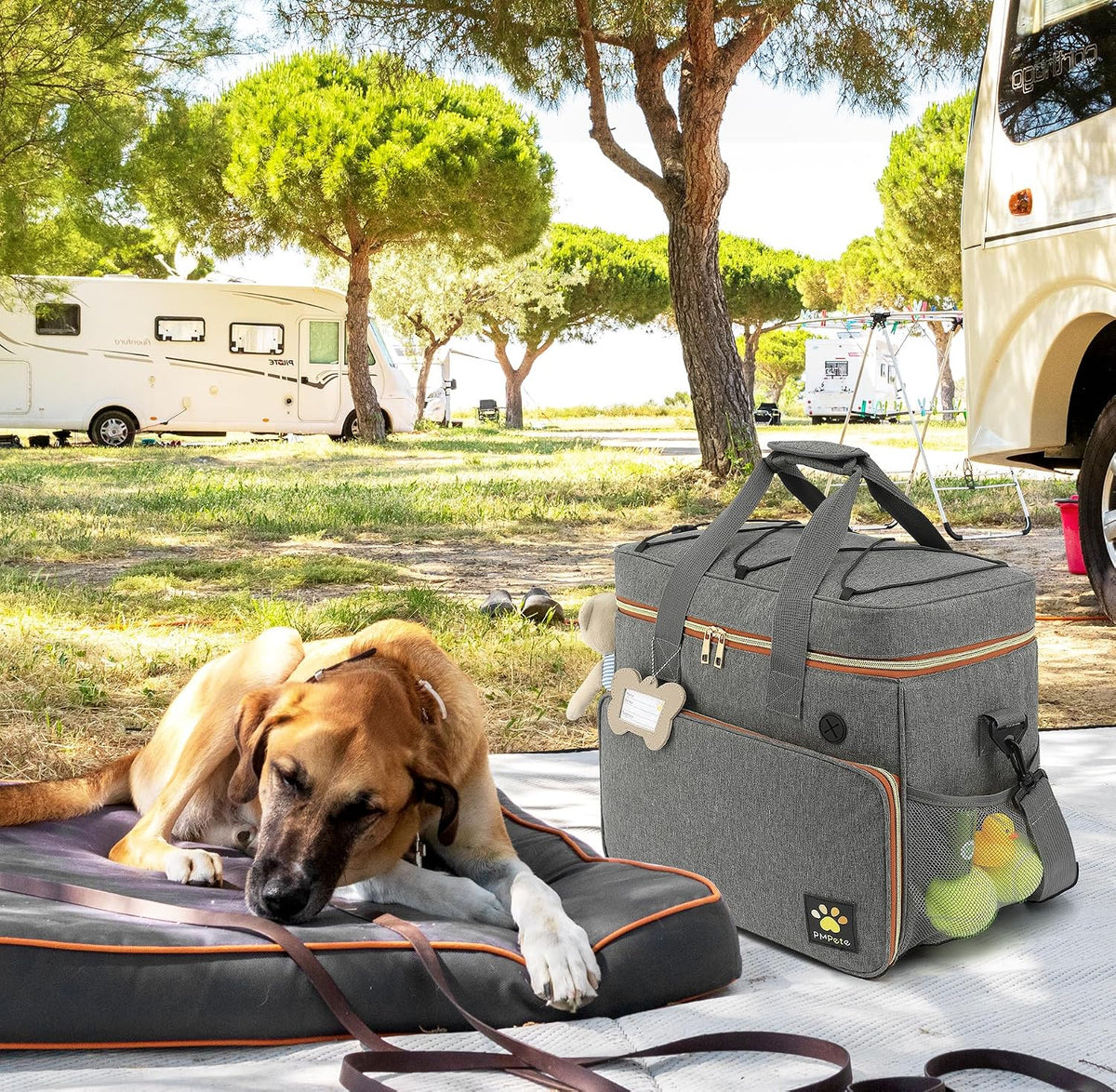 Dog Travel Bag, Grey