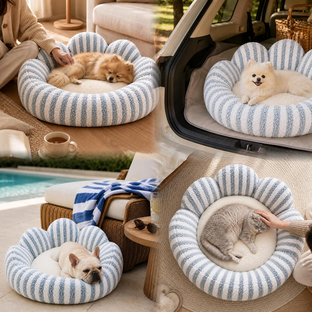 Small Dog Bed, Flower-Shaped Calming Cat Bed, 27 in, Light Blue