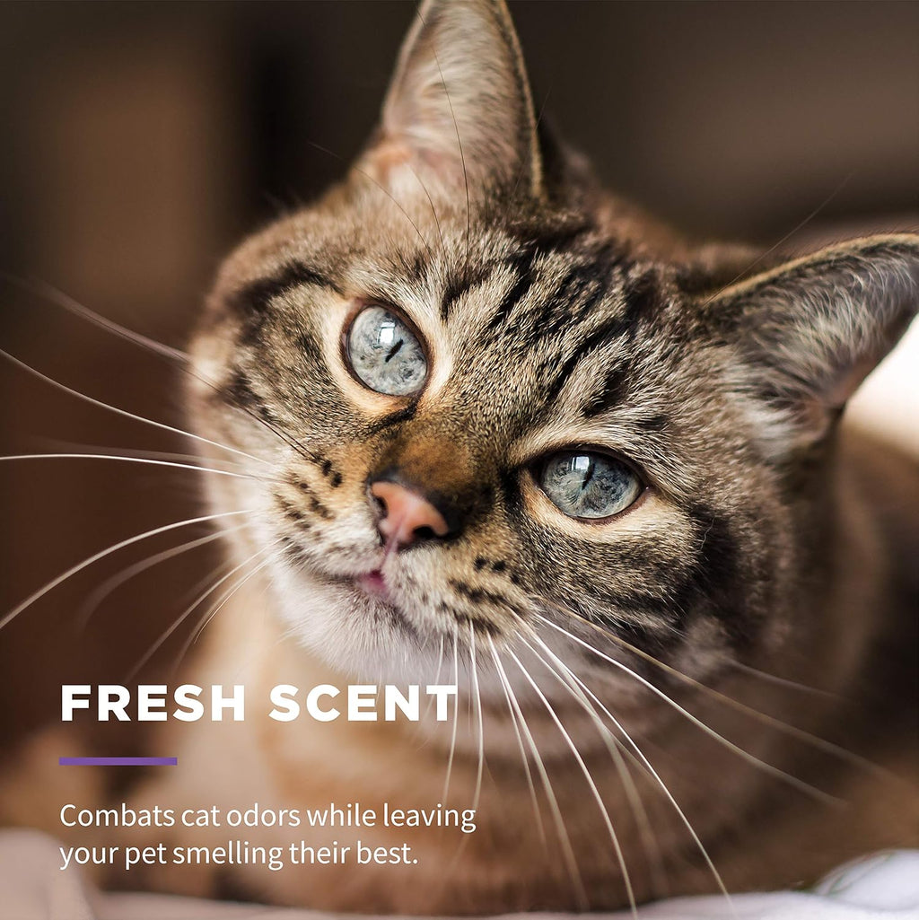 Wet Ones for Pets Freshening Multipurpose Cat Wipes, Fresh Scent, 100 Count | Aloe vera formula, moisture-lock seal keeps cloths clean, suitable for daily grooming between baths 