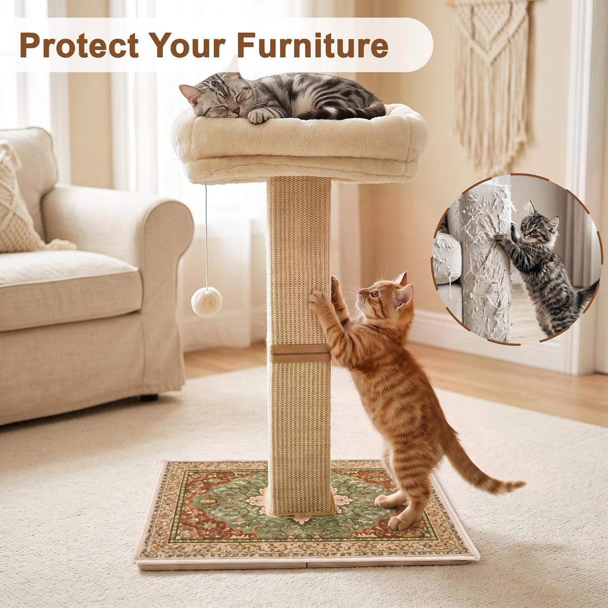 Cat Scratching Post with Bed for Indoor Adult Cats, Cat Perch,Green