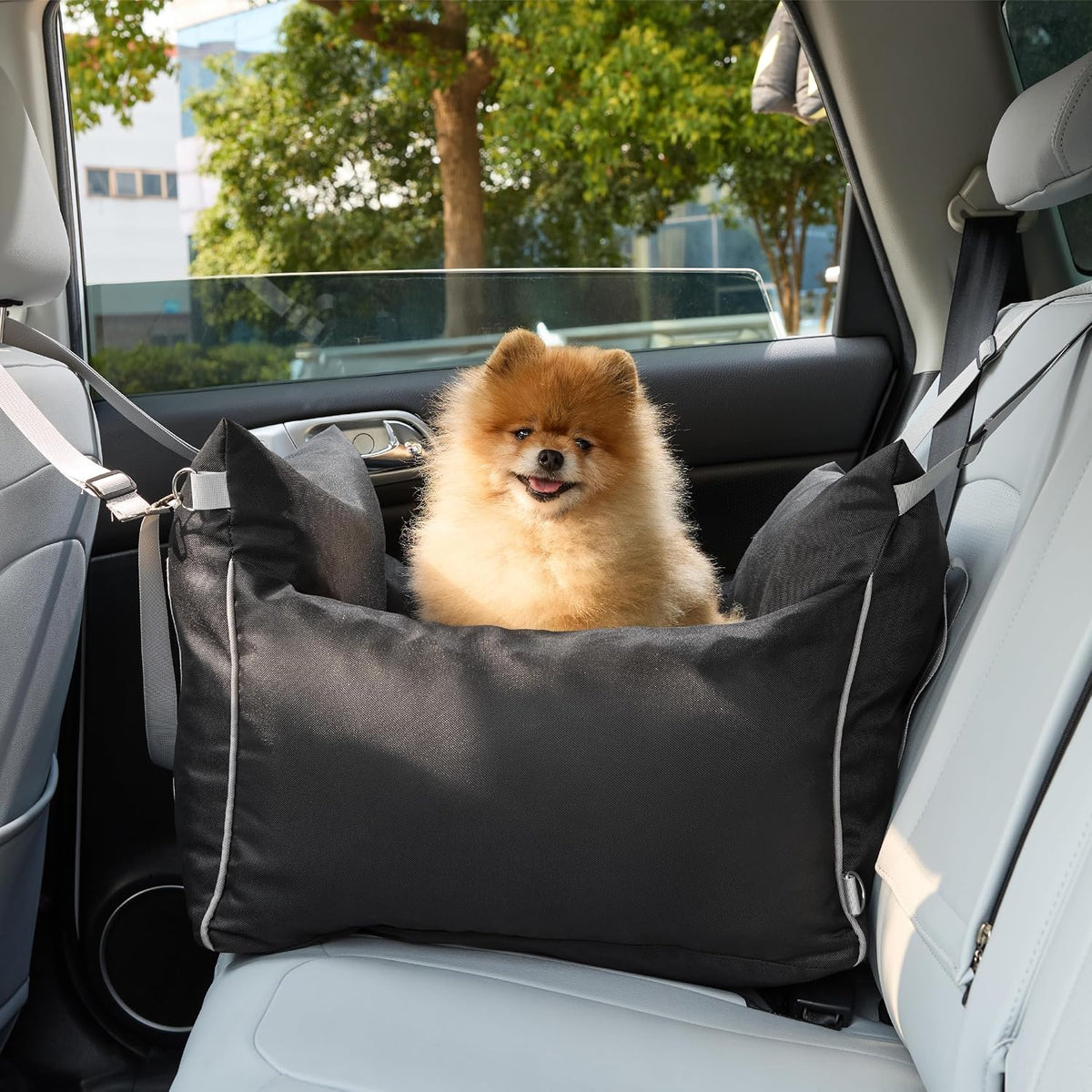Lesure Dog Car Seat for Small Dogs,Booster Car Bed for Puppy Under 25lbs