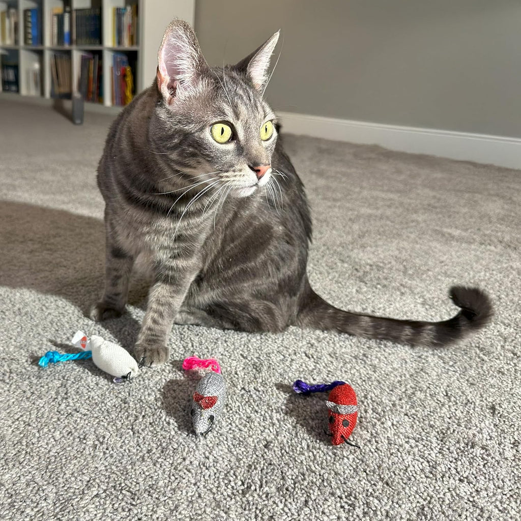 SPOT Burlap Mice Cat Toys, Interactive & Durable Catnip Toys for Indoor Cats & Kittens, Perfect for Hunting & Play, 3-Inch, Assorted Colors, 3 Pieces