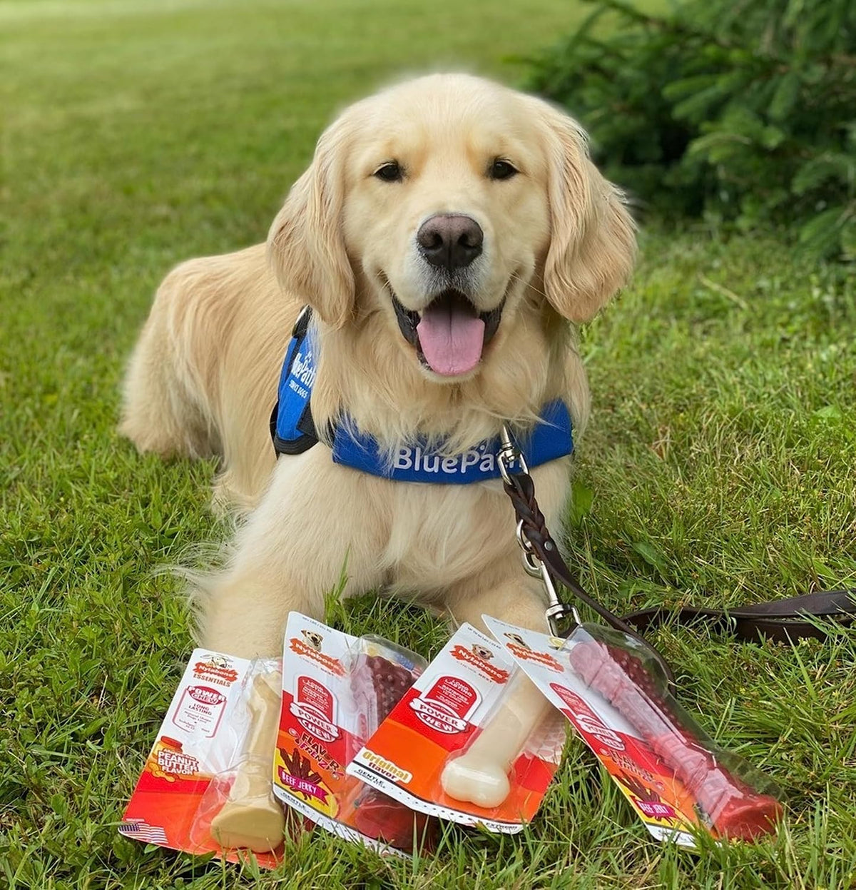 Nylabone Power Chew Original Bone Dog Chew Toy, Original Flavor, Large | Durable chew toys, long lasting, flavor throughout, discourages destructive chewing, keeps dogs busy, for dogs up to 50 lbs