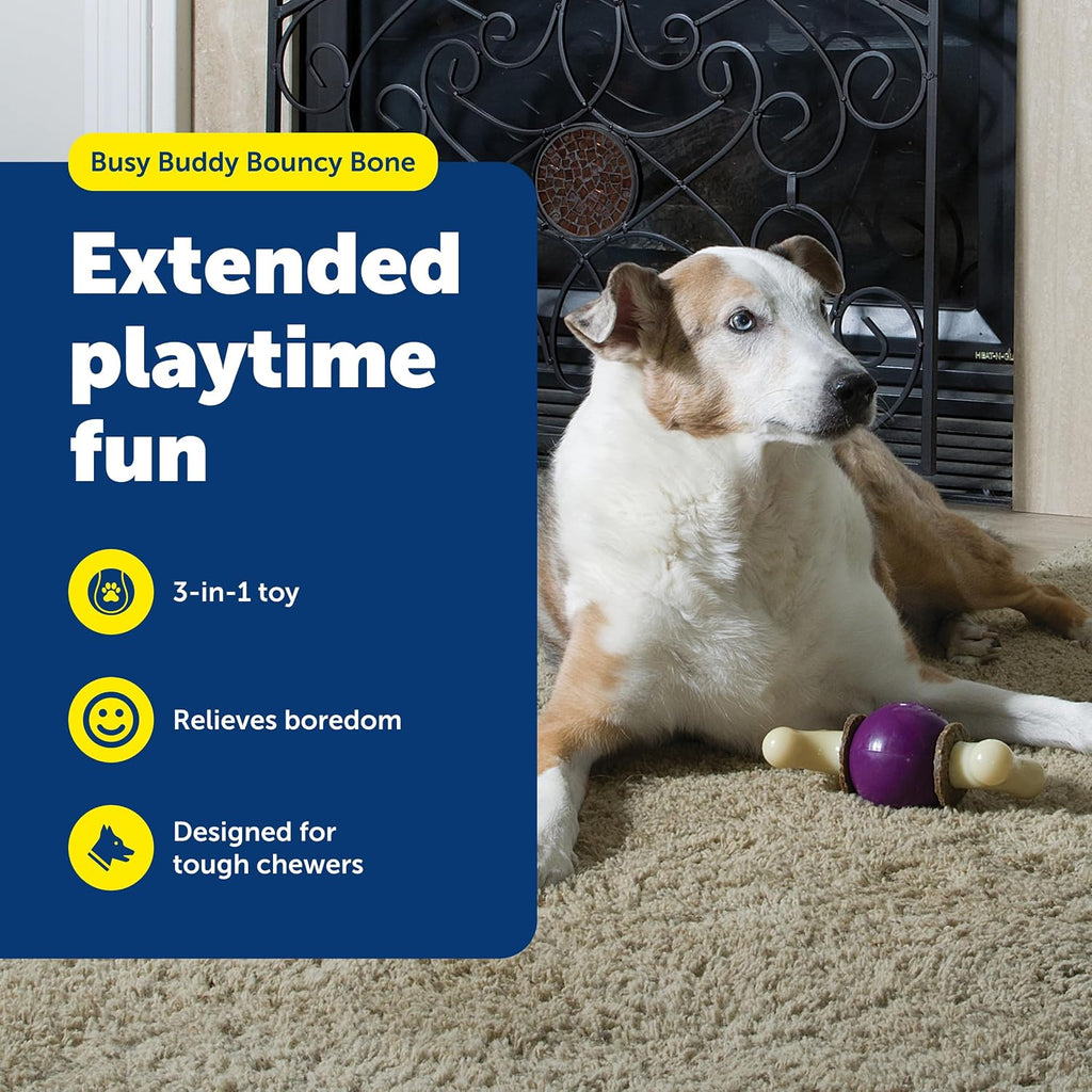 PetSafe Busy Buddy Bouncy Bone Treat Holding Dog Chew Toy, Large