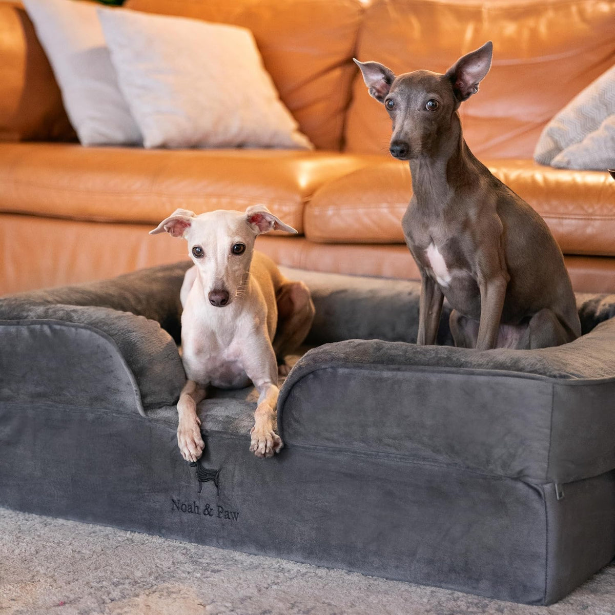 NOAH & PAW Dog Bed, Orthopedic Memory Cooling Foam (2X Base) 28x23x11in