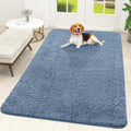 OLANLY Dog Door Mat for Muddy Paws 70x46, Super Absorbent Chenille Mud Mat