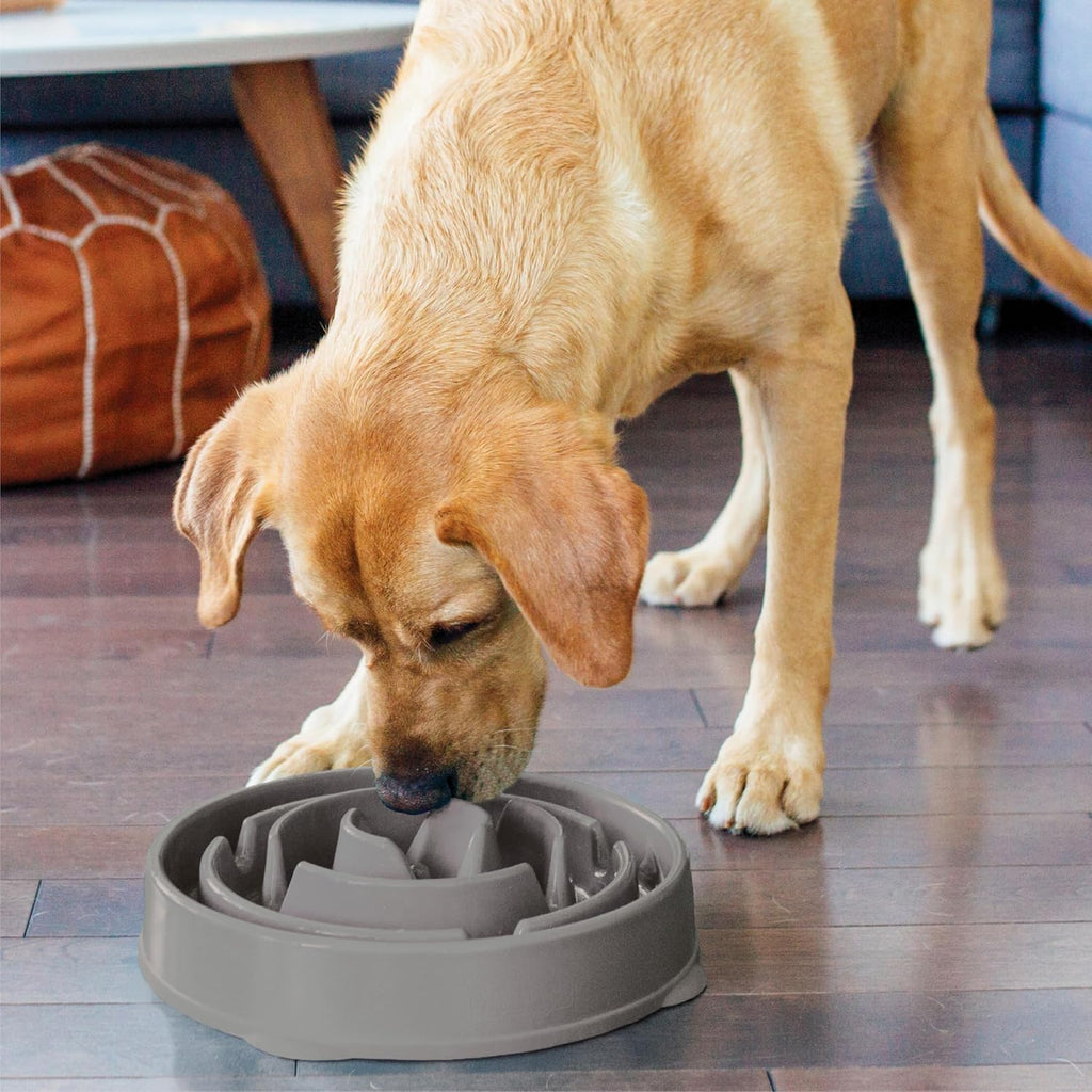 Outward Hound Fun Feeder Slo Bowl Dog Slow Feeder, Drop, Gray, 11.8" | Slows Fast Eaters, Can Aid Digestion, Holds 4 Cups Dry or Wet Food, Non-Slip Base, Easy Clean, No BPA, Medium to Large Dogs 