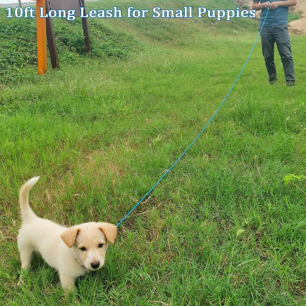 WYuZe 1/5" Reflective XS Rope Dog Leash 10ft for Small Dogs Cats up to 15lb