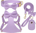 Beirui Cute Small Dog Harness Collar and Leash Set, Purple,XS,Chest 13-28"