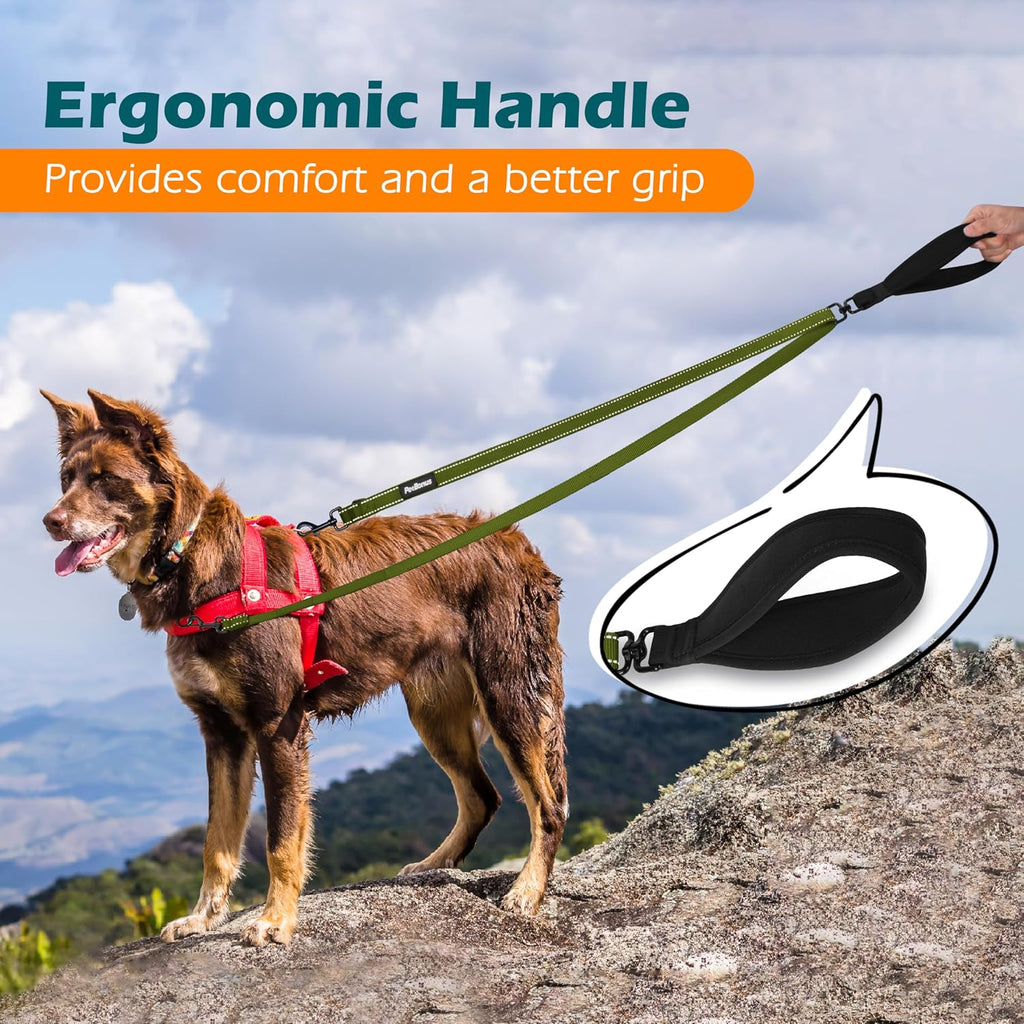 PetBonus Two Point Control Dog Leash, No Tangle Training Walking Leashes