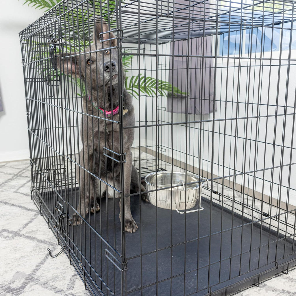 SPOT Coop Cup Wire Hanger - Stainless Steel Hanging Bowl for Pet Crates, Easy Install, Chew-Proof, Removable Water/Kibble Bowl for Medium Dogs, Cats, Large Birds, Reptiles - 3.75 Cups (30 Oz) 