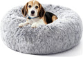 Dwanton Orthopedic Small Donut Dog Bed & Cat Bed, Gel Memory Foam, 24"