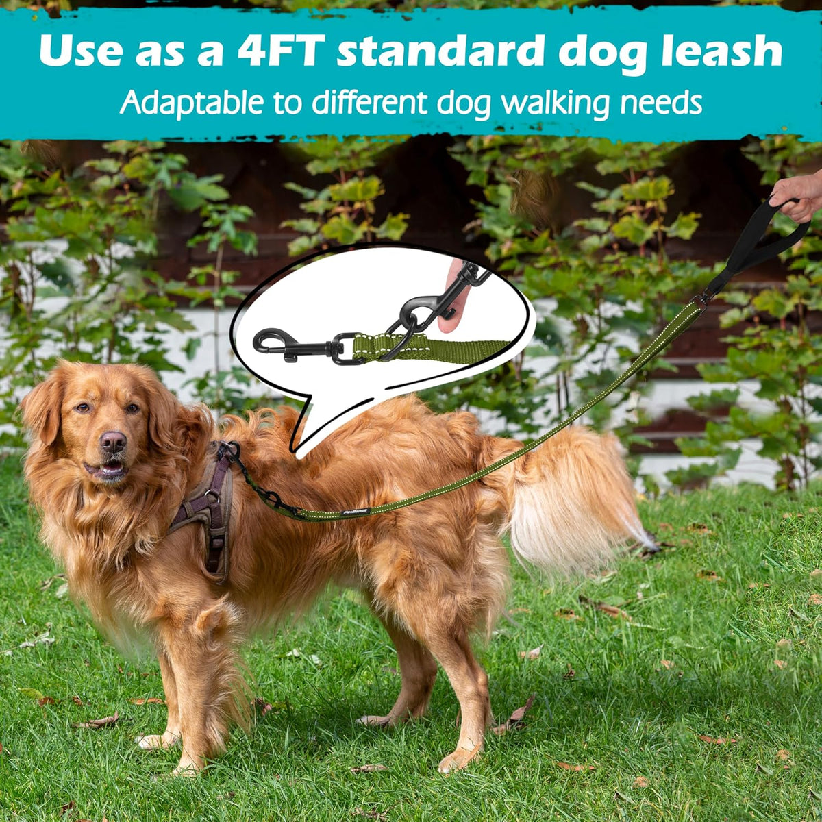 PetBonus Two Point Control Dog Leash, No Tangle Training Walking Leashes