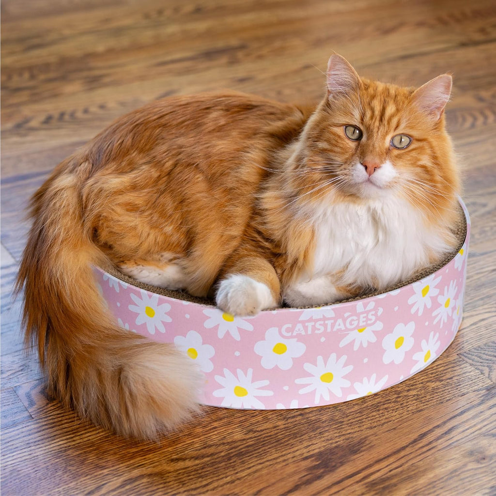 Catstages Scratch & Snuggle 2-in-1 Cat Scratcher & Lounger, Daisy Pink, 16"
