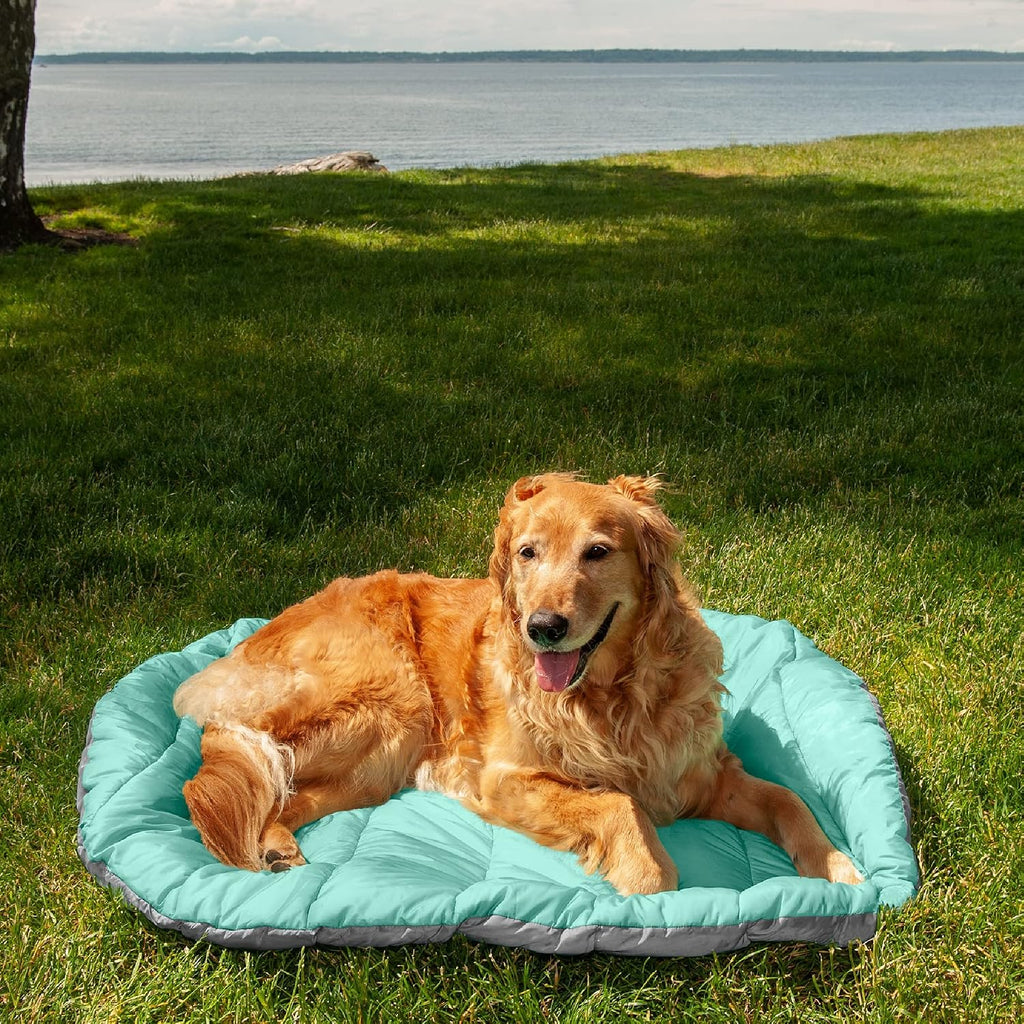 FurHaven Outdoor Travel Dog Bed for Large Dogs, Lightweight Trail Pup Travel Pillow Mat with Stuff Sack, Machine Washable & Foldable, Large, Aqua/Granite Gray