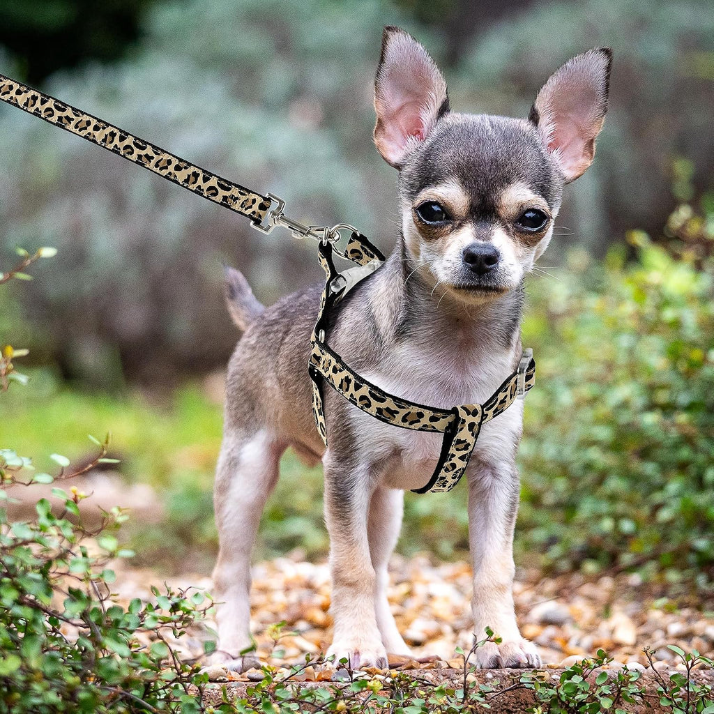 Mile High Life Leopard Dog Harness Collar Leash Set, Adjustable No Pull Dog Halter Harness for Small Breed Dogs, Easy Control for Training Walking (Black, M Chest 15"-21", Neck 13"-17")