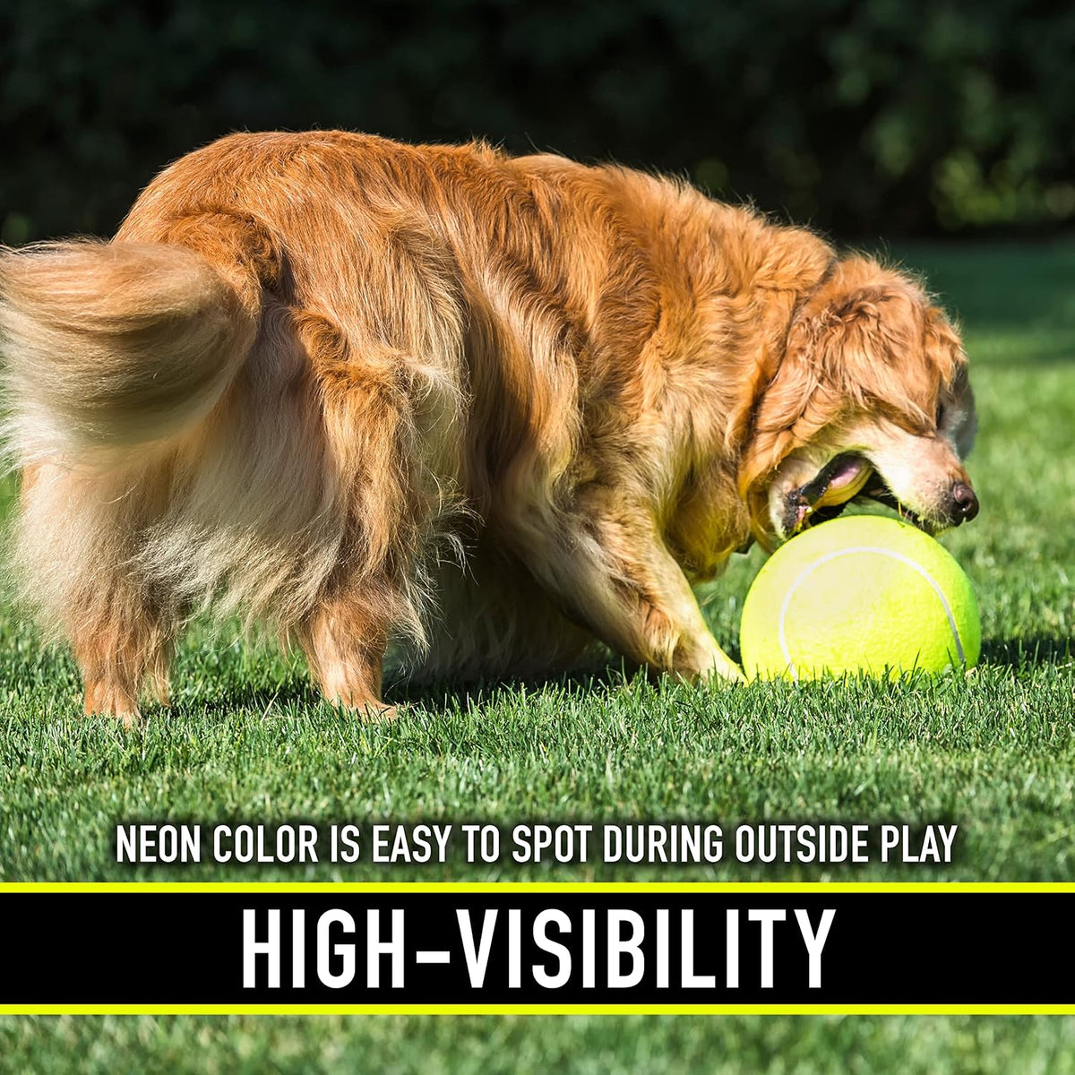 Franklin Sports Ready Set Fetch Oversized Dog Tennis Ball - 8.5"