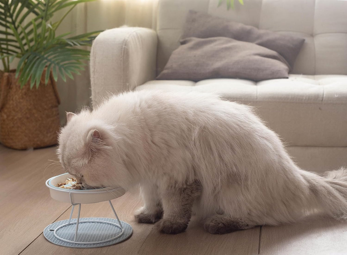 Ceramic Fish-Bone Slow Food Bowl for Cats and Dogs, Dishwasher Safe, Non-Toxic, Engaging Design, Prevents Obesity
