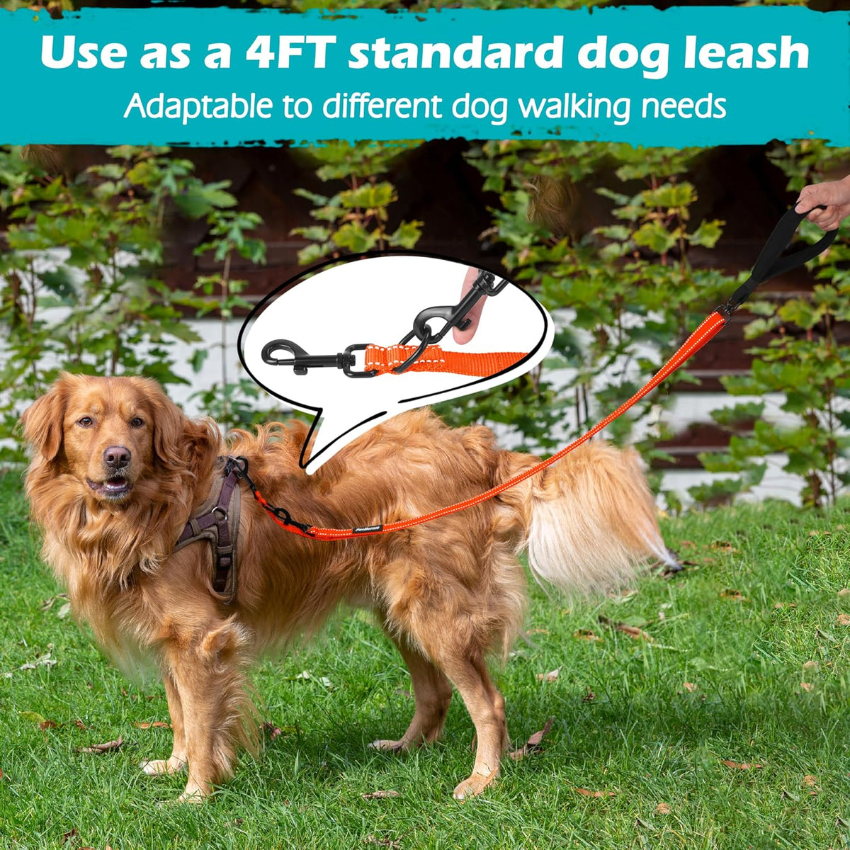 PetBonus Two Point Control Dog Leash, No Tangle Training Walking Leashes