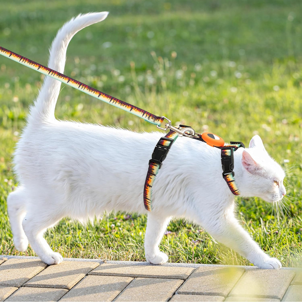 Escape Proof Cat Harness with Airtag Holder and Leash Set Outfits