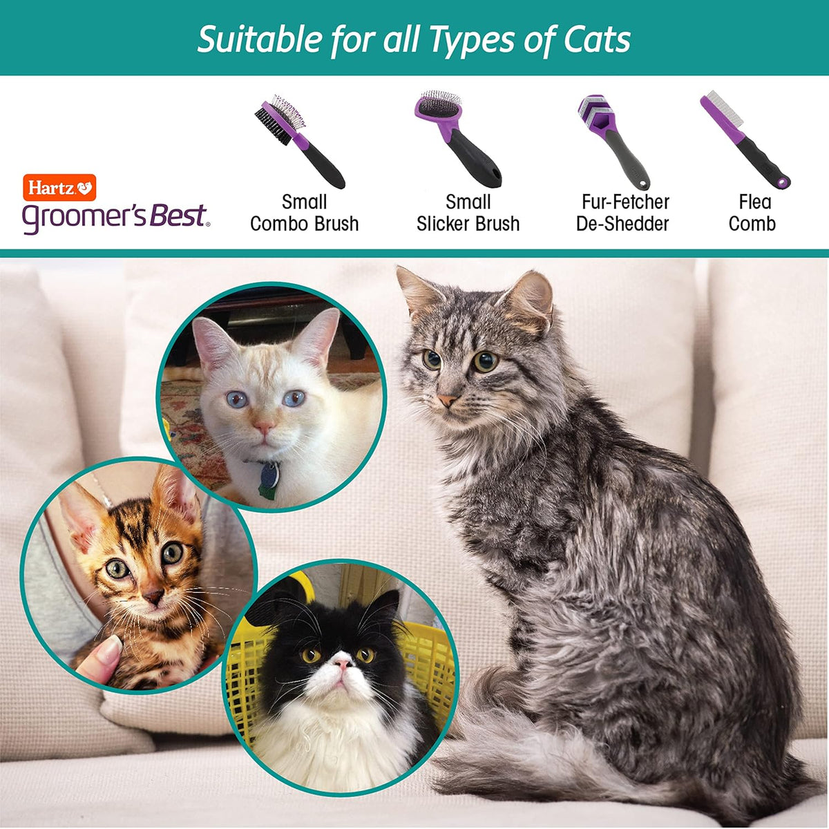 Hartz Groomer's Best Flea Comb for Dogs and Cats, Fine-Toothed Gentle Pet Comb for Detangling or Dematting Face & Paws (Pack of 1) 
