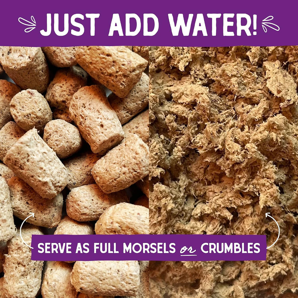 Stella & Chewy's Freeze-Dried Raw Cat Dinner Morsels - Premium Salmon & Chicken Recipe with 98% Wild-Caught & Cage-Free Protein - Natural Grain-Free Cat & Kitten Food - Made in USA - 1 oz (Pack of 2)