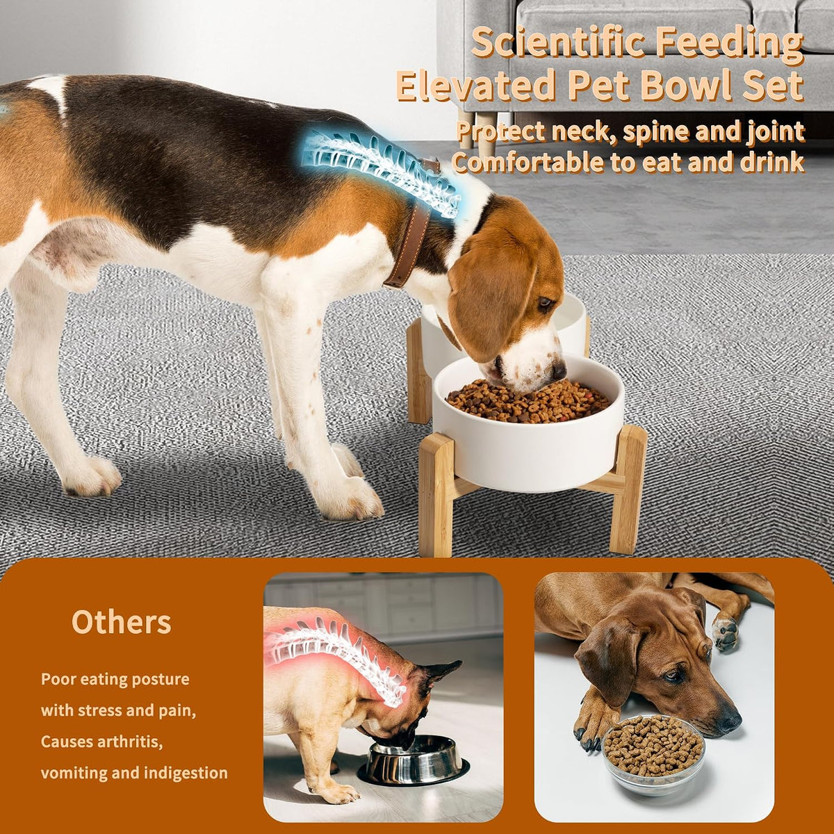 Elevated Ceramic Dog Bowl, 3.6 Cups Dog Food and Water Bowl Set with Stand | 6.1'' Double Dog Feeding Dishes, Non-Slip Raised Dog Feeder for Small and Medium Breeds, 28.74 OZ / 850 ML, White