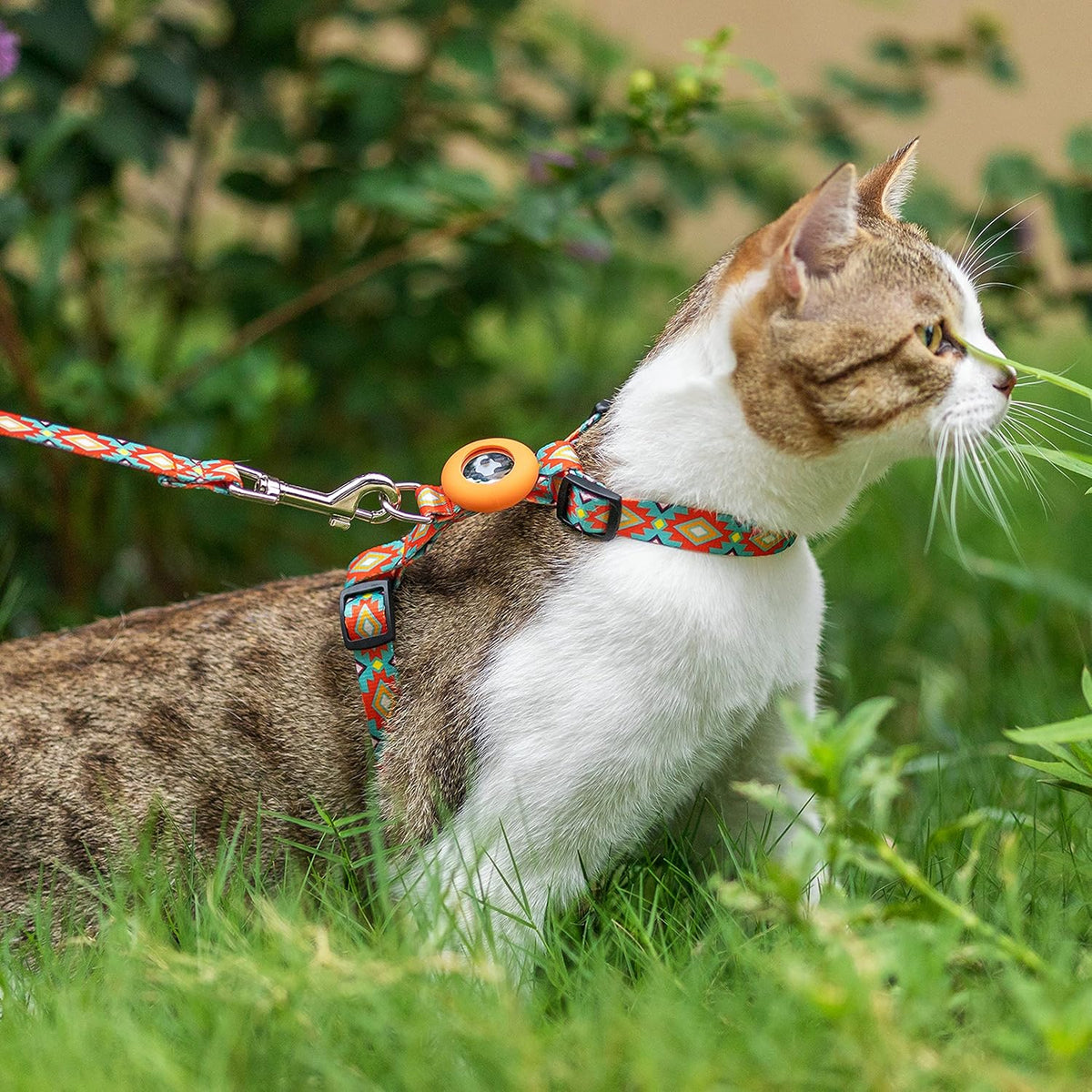 CUSOZWO Cat Harness and Leash Escape Proof for Walking Travel Outdoor