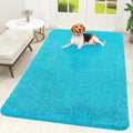 OLANLY Dog Door Mat for Muddy Paws 70x46, Super Absorbent Chenille Mud Mat