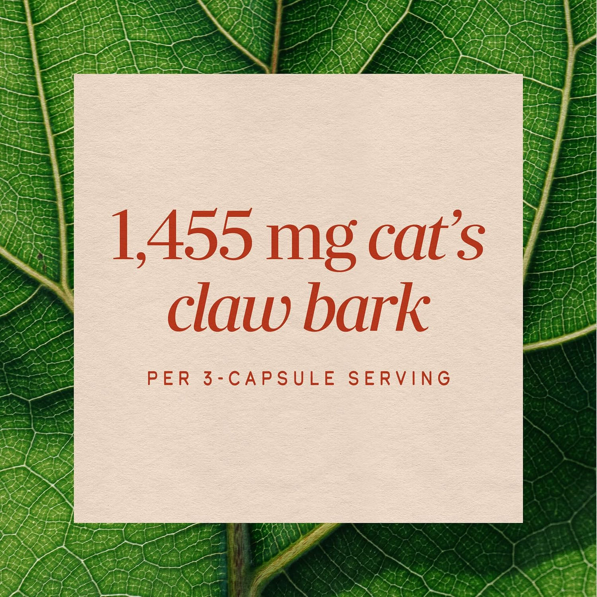 Nature's Way Cat's Claw Bark, Traditional Health Support, Vegan, 100 ct